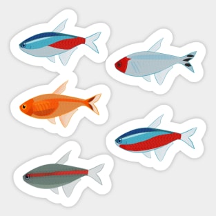 Freshwater fish Tetra pattern Sticker